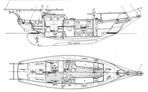 NP Diagram